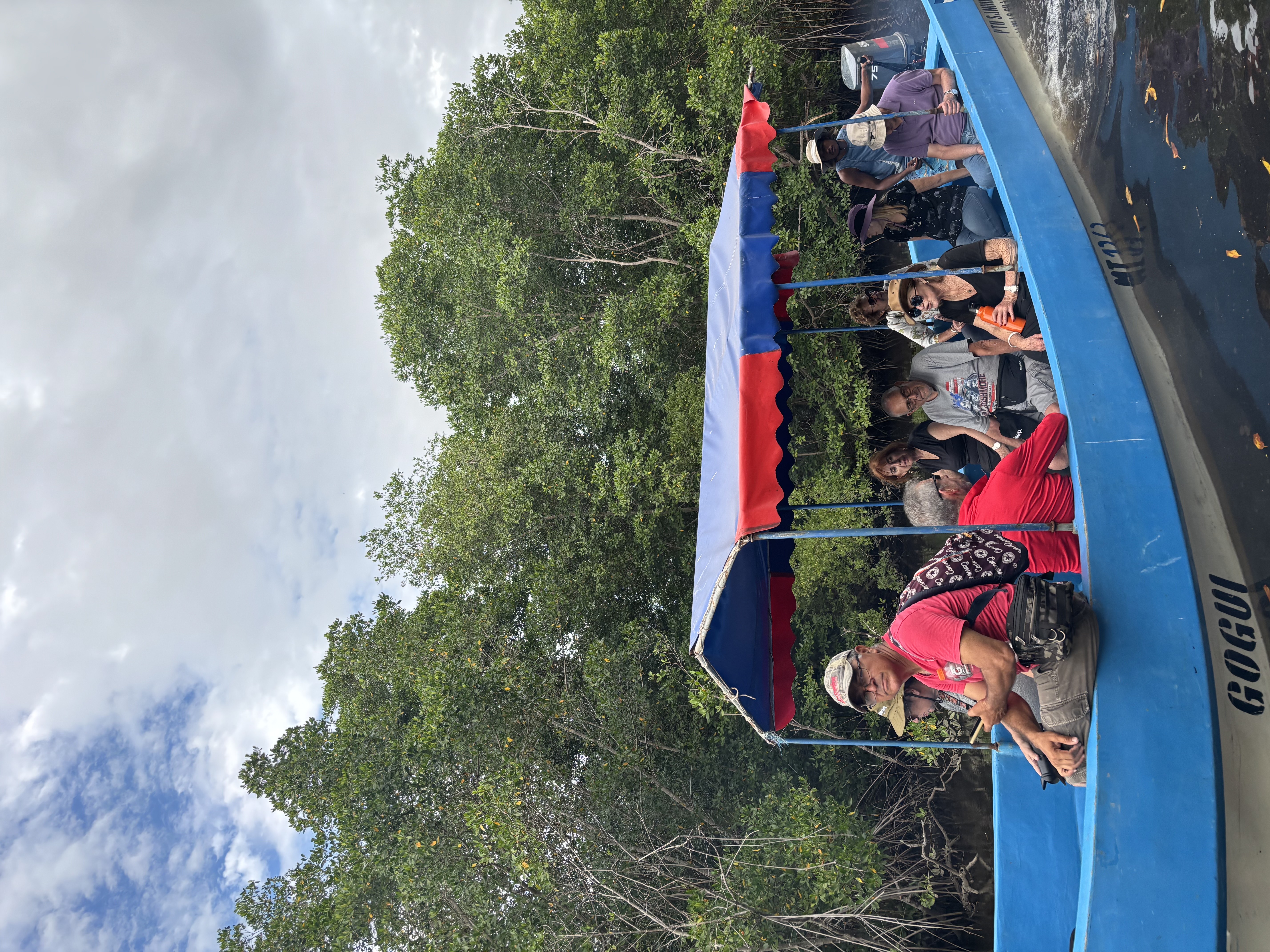 Juan venado mangrove forest